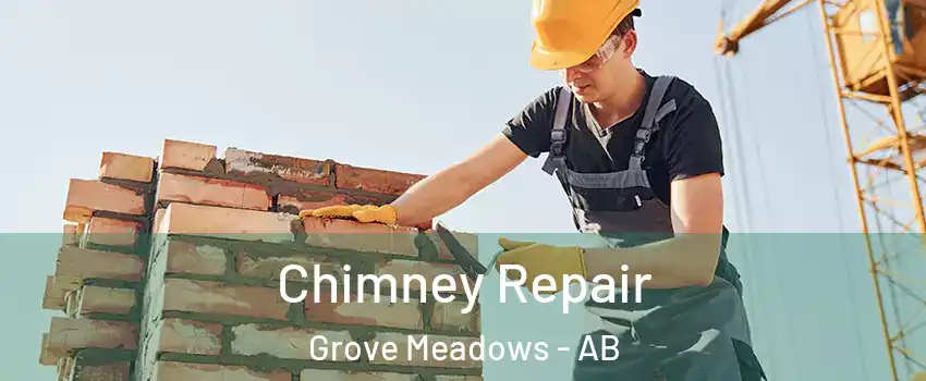  Chimney Repair Grove Meadows - AB