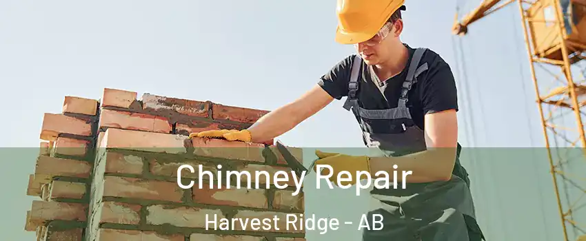  Chimney Repair Harvest Ridge - AB