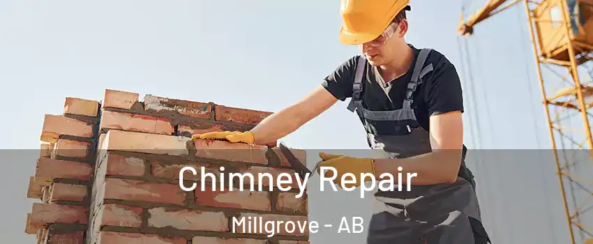  Chimney Repair Millgrove - AB