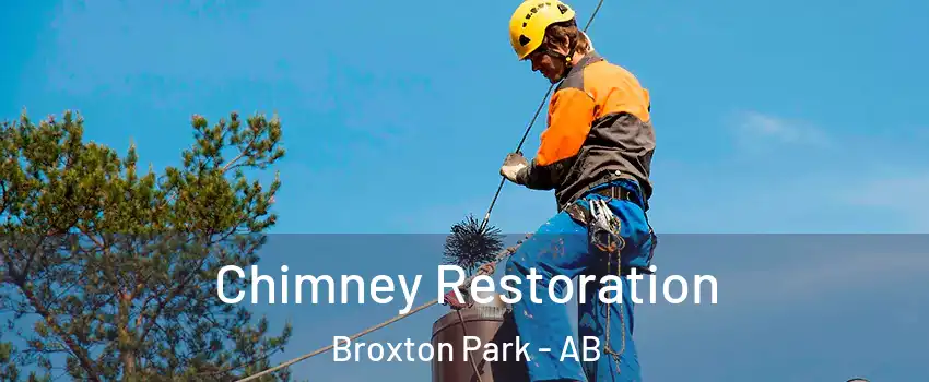  Chimney Restoration Broxton Park - AB