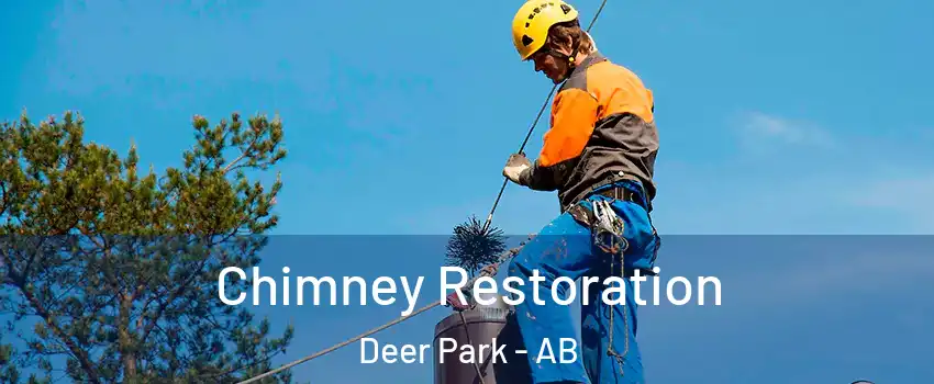  Chimney Restoration Deer Park - AB