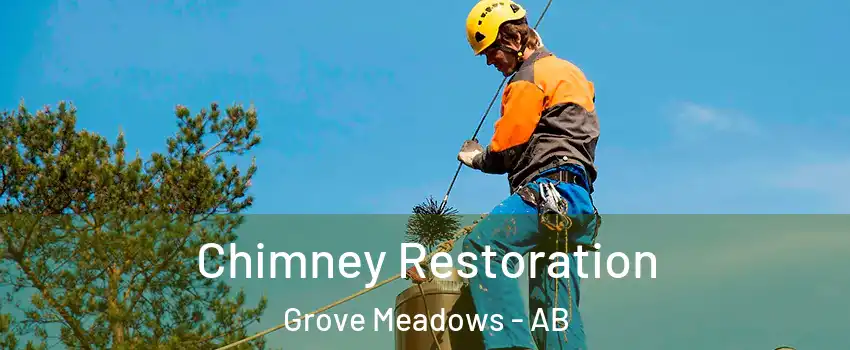  Chimney Restoration Grove Meadows - AB