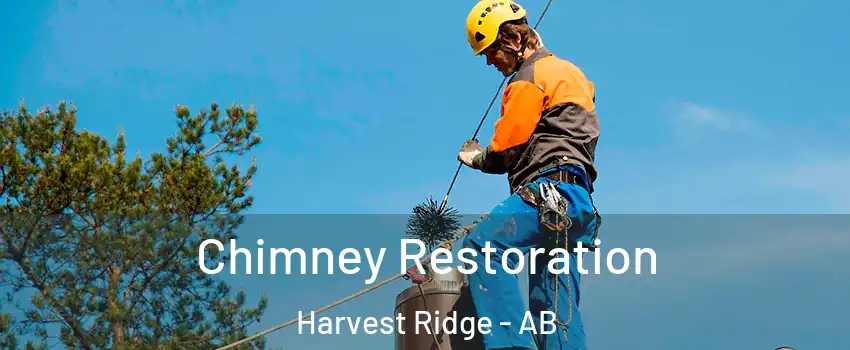  Chimney Restoration Harvest Ridge - AB