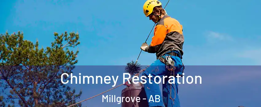  Chimney Restoration Millgrove - AB
