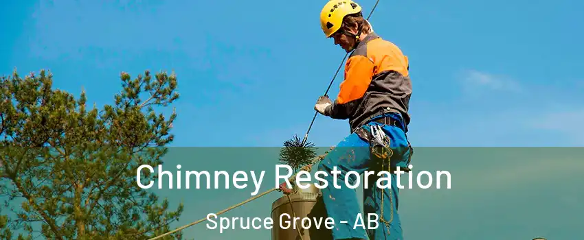  Chimney Restoration Spruce Grove - AB