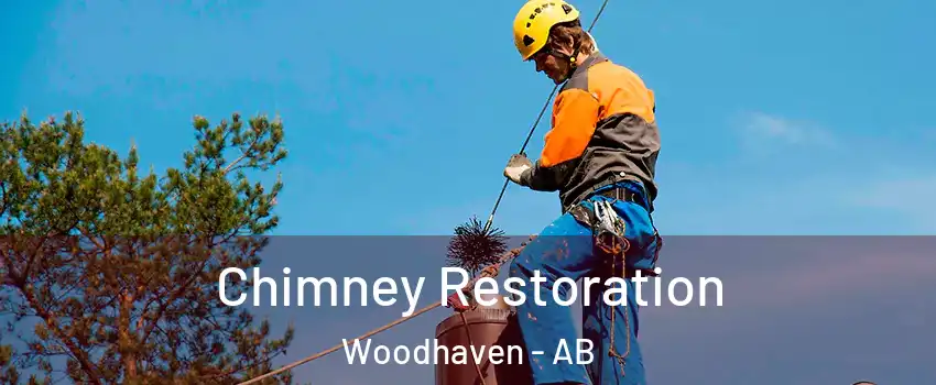  Chimney Restoration Woodhaven - AB