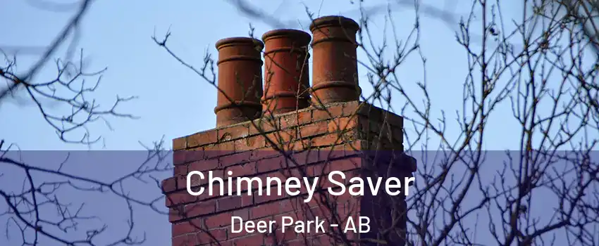  Chimney Saver Deer Park - AB