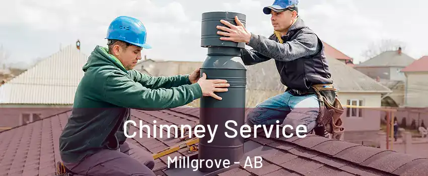  Chimney Service Millgrove - AB