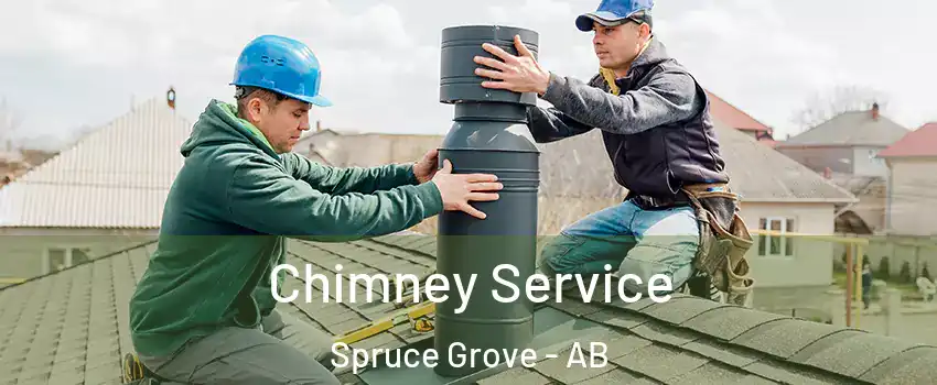  Chimney Service Spruce Grove - AB