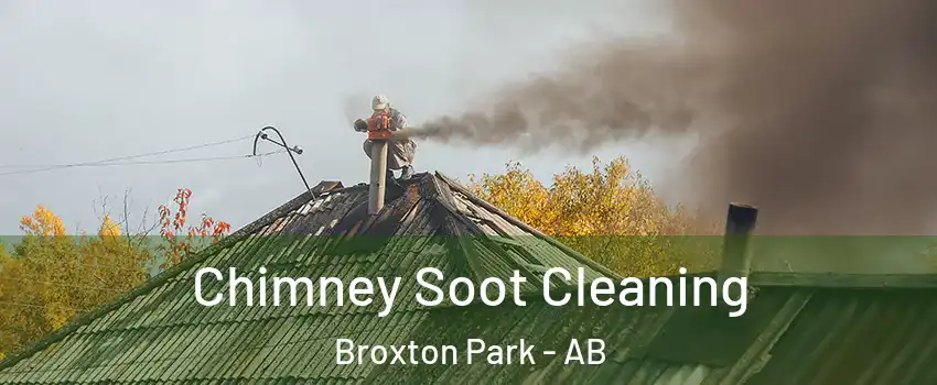  Chimney Soot Cleaning Broxton Park - AB