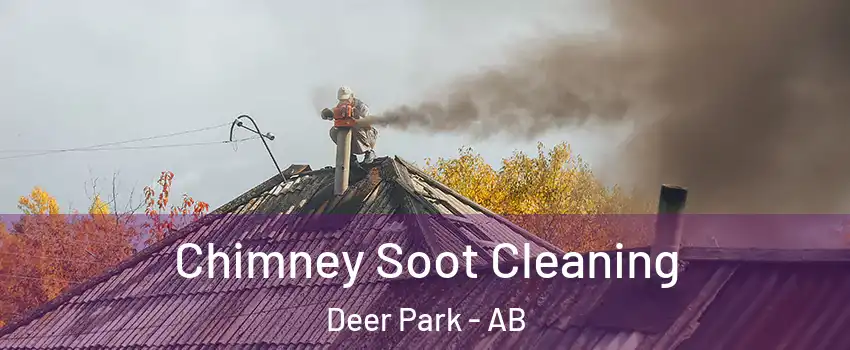  Chimney Soot Cleaning Deer Park - AB