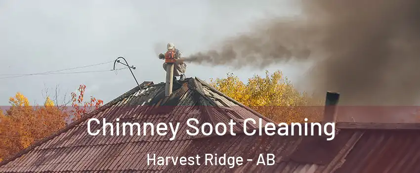  Chimney Soot Cleaning Harvest Ridge - AB