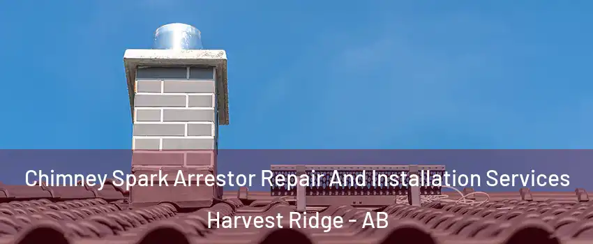  Chimney Spark Arrestor Repair And Installation Services Harvest Ridge - AB