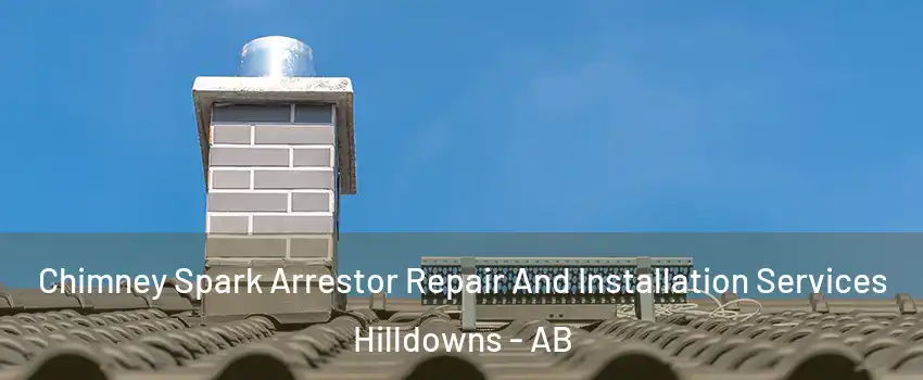  Chimney Spark Arrestor Repair And Installation Services Hilldowns - AB