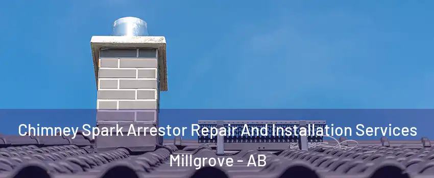  Chimney Spark Arrestor Repair And Installation Services Millgrove - AB