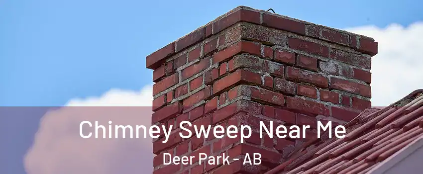  Chimney Sweep Near Me Deer Park - AB