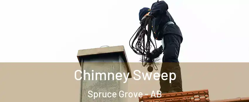  Chimney Sweep Spruce Grove - AB