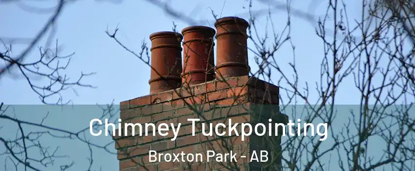 Chimney Tuckpointing Broxton Park - AB
