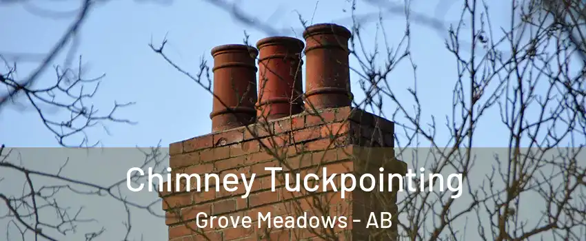  Chimney Tuckpointing Grove Meadows - AB