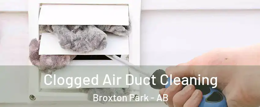  Clogged Air Duct Cleaning Broxton Park - AB