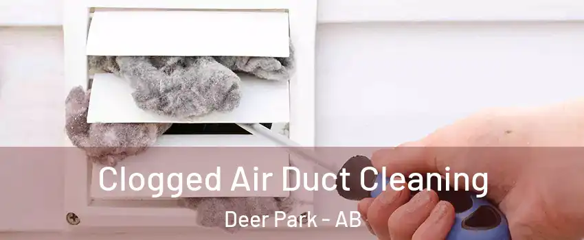 Clogged Air Duct Cleaning Deer Park - AB