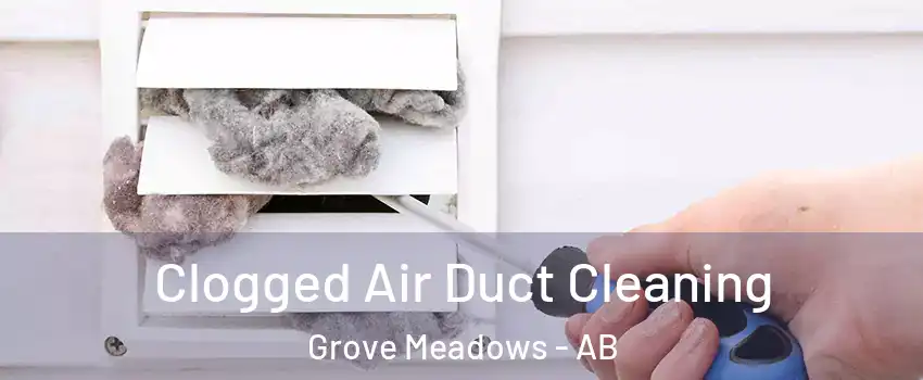  Clogged Air Duct Cleaning Grove Meadows - AB