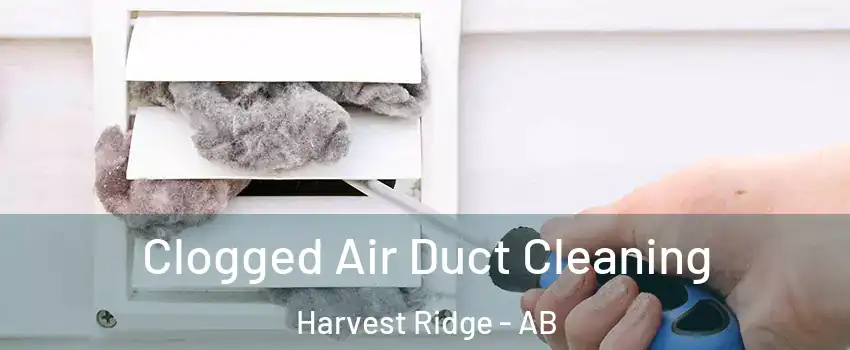  Clogged Air Duct Cleaning Harvest Ridge - AB