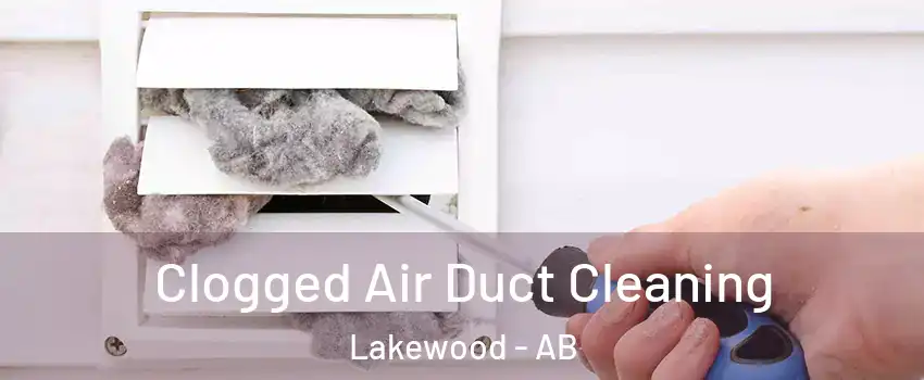  Clogged Air Duct Cleaning Lakewood - AB