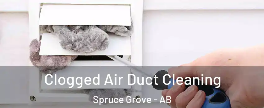  Clogged Air Duct Cleaning Spruce Grove - AB