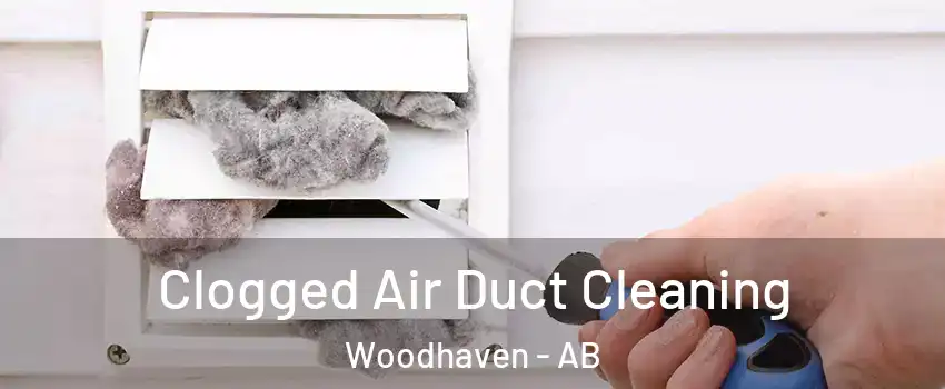  Clogged Air Duct Cleaning Woodhaven - AB