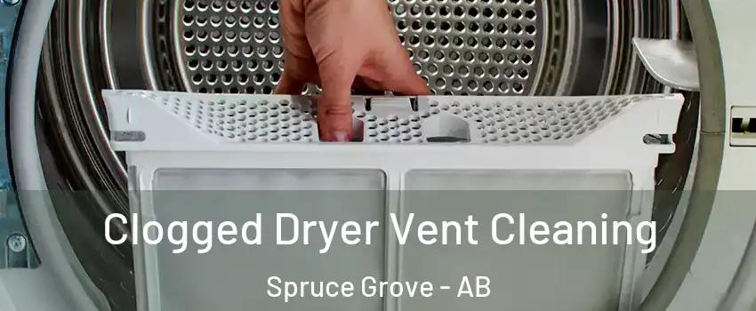  Clogged Dryer Vent Cleaning Spruce Grove - AB