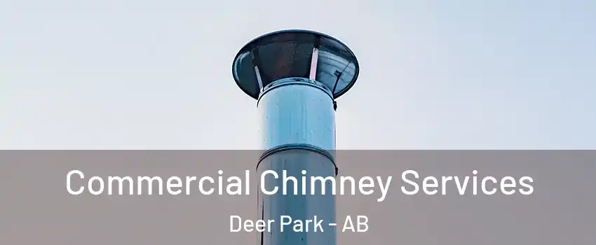  Commercial Chimney Services Deer Park - AB