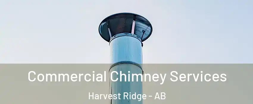  Commercial Chimney Services Harvest Ridge - AB