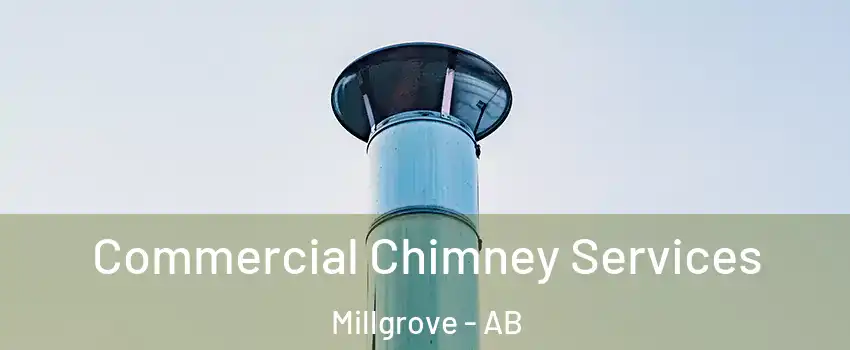  Commercial Chimney Services Millgrove - AB