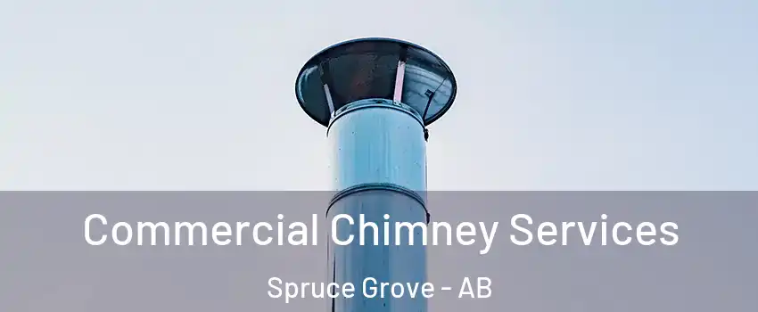  Commercial Chimney Services Spruce Grove - AB