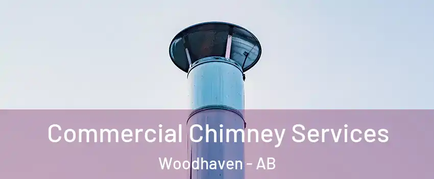  Commercial Chimney Services Woodhaven - AB