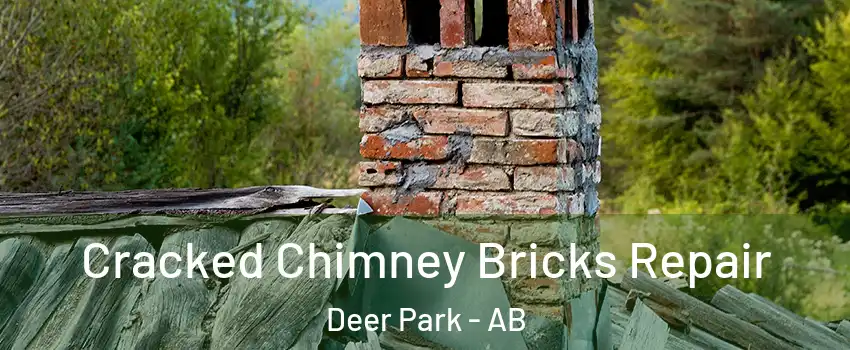  Cracked Chimney Bricks Repair Deer Park - AB
