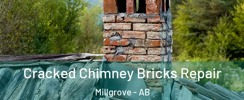  Cracked Chimney Bricks Repair Millgrove - AB