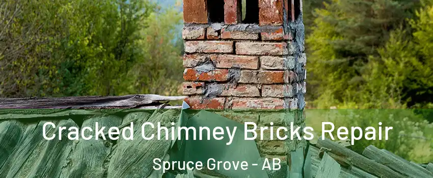  Cracked Chimney Bricks Repair Spruce Grove - AB