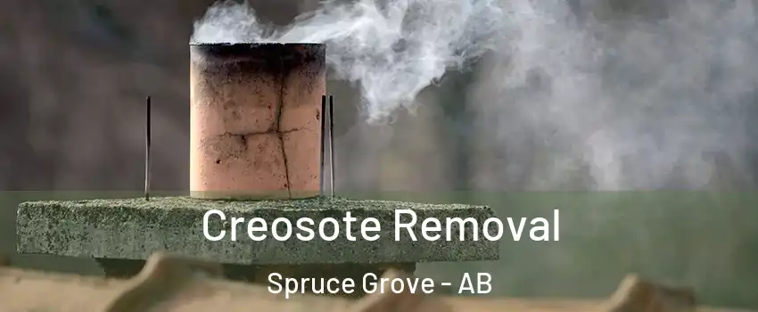  Creosote Removal Spruce Grove - AB