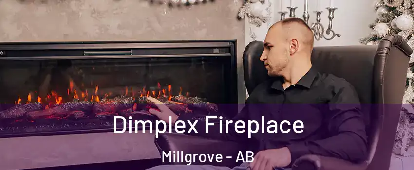  Dimplex Fireplace Millgrove - AB