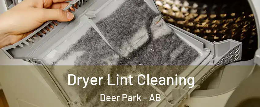  Dryer Lint Cleaning Deer Park - AB