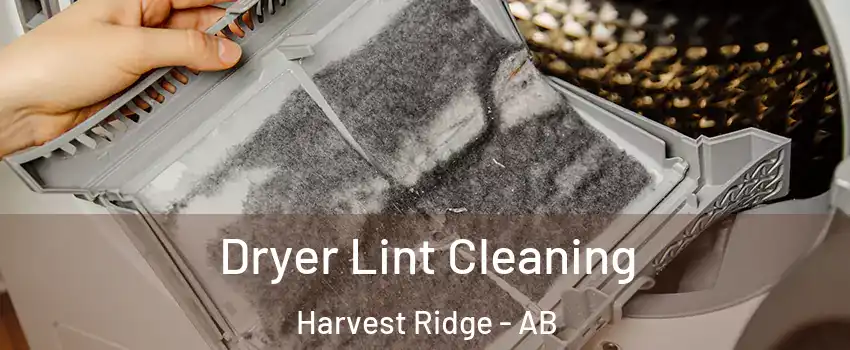  Dryer Lint Cleaning Harvest Ridge - AB