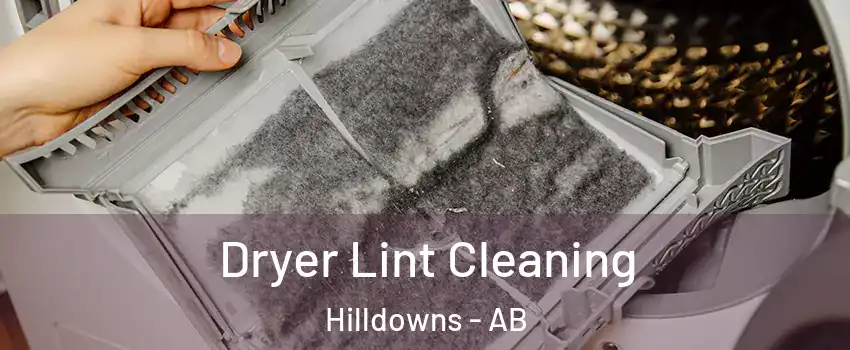  Dryer Lint Cleaning Hilldowns - AB