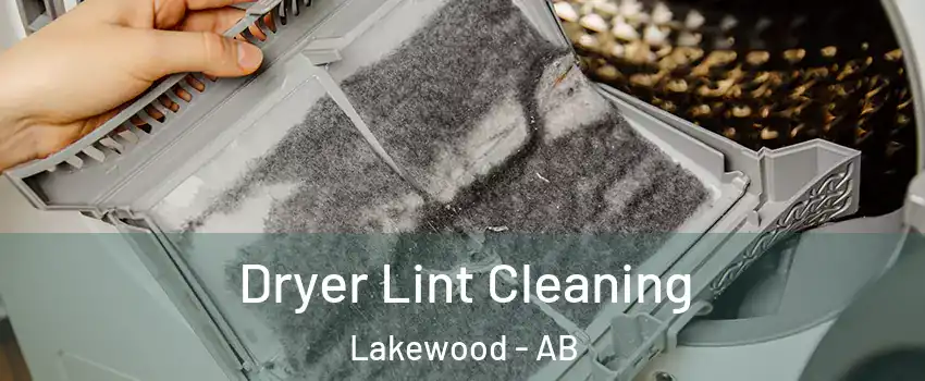  Dryer Lint Cleaning Lakewood - AB