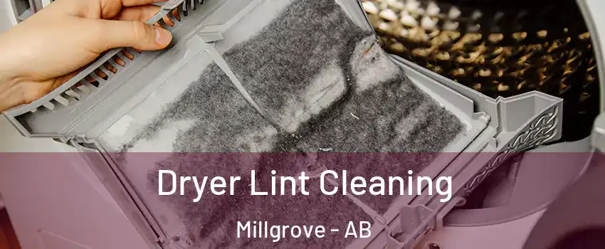  Dryer Lint Cleaning Millgrove - AB