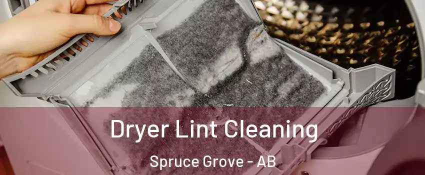  Dryer Lint Cleaning Spruce Grove - AB