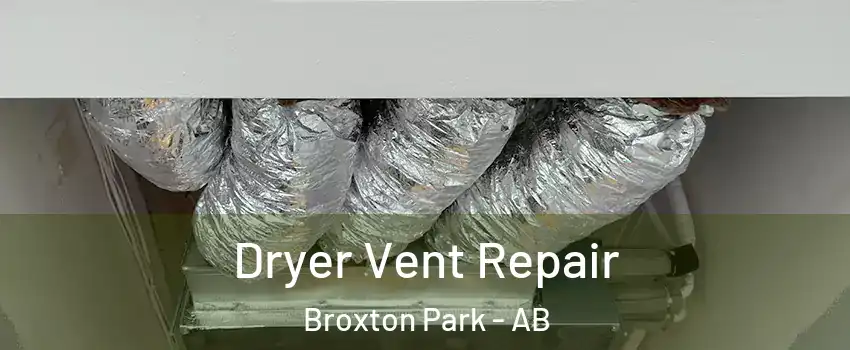  Dryer Vent Repair Broxton Park - AB