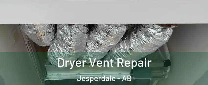  Dryer Vent Repair Jesperdale - AB