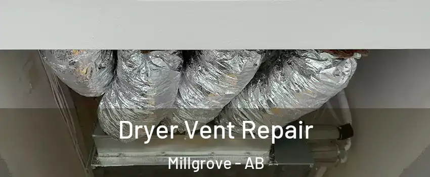  Dryer Vent Repair Millgrove - AB